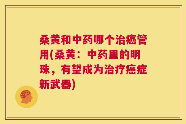 桑黄和哪个管用(桑黄:里的明珠,有望成为症新武器) 桑黄和哪个管用(桑黄:里的明珠,有望成为症新武器)
