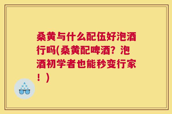 桑黄与什么配伍好泡酒行吗(桑黄配啤酒?泡酒初学者也能秒变行家!) 桑黄与什么配伍好泡酒行吗(桑黄配啤酒?泡酒初学者也能秒变行家!)