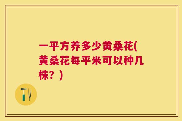 一平方养多少黄桑花(黄桑花每平米可以种几株?) 一平方养多少黄桑花(黄桑花每平米可以种几株?)