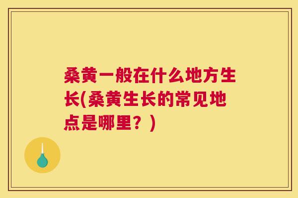 桑黄一般在什么地方生长(桑黄生长的常见地点是哪里?) 桑黄一般在什么地方生长(桑黄生长的常见地点是哪里?)