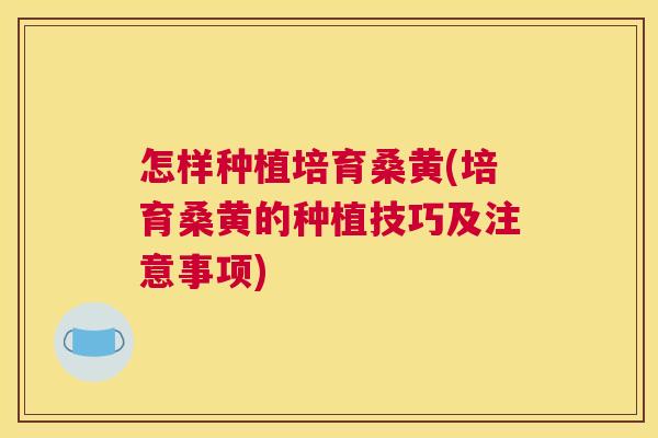 怎样种植培育桑黄(培育桑黄的种植技巧及注意事项) 怎样种植培育桑黄(培育桑黄的种植技巧及注意事项)