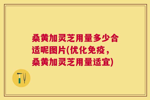 桑黄加灵芝用量多少合适呢图片(优化,桑黄加灵芝用量适宜) 桑黄加灵芝用量多少合适呢图片(优化,桑黄加灵芝用量适宜)