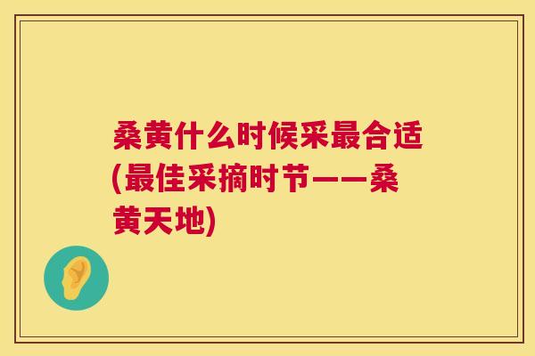 桑黄什么时候采合适(佳采摘时节——桑黄天地) 桑黄什么时候采合适(佳采摘时节——桑黄天地)
