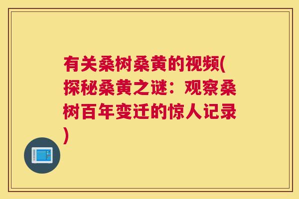 有关桑树桑黄的视频(探秘桑黄之谜：观察桑树百年变迁的惊人记录)