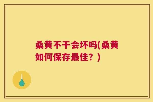 桑黄不干会坏吗(桑黄如何保存佳?) 桑黄不干会坏吗(桑黄如何保存佳?)