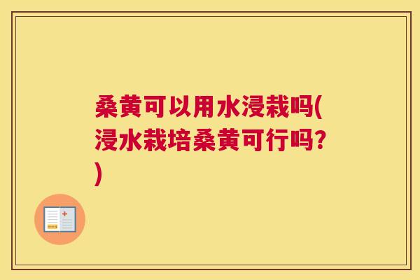 桑黄可以用水浸栽吗(浸水栽培桑黄可行吗?) 桑黄可以用水浸栽吗(浸水栽培桑黄可行吗?)