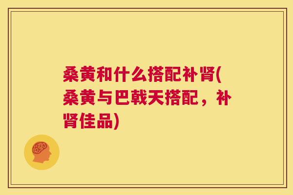 桑黄和什么搭配补(桑黄与巴戟天搭配,补佳品) 桑黄和什么搭配补(桑黄与巴戟天搭配,补佳品)