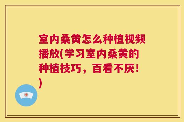 室内桑黄怎么种植视频播放(学习室内桑黄的种植技巧，百看不厌！)