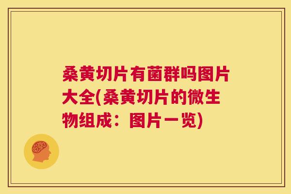 桑黄切片有菌群吗图片大全(桑黄切片的微生物组成:图片一览) 桑黄切片有菌群吗图片大全(桑黄切片的微生物组成:图片一览)