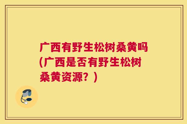 广西有野生松树桑黄吗(广西是否有野生松树桑黄资源？)