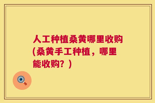 人工种植桑黄哪里收购(桑黄手工种植,哪里能收购?) 人工种植桑黄哪里收购(桑黄手工种植,哪里能收购?)
