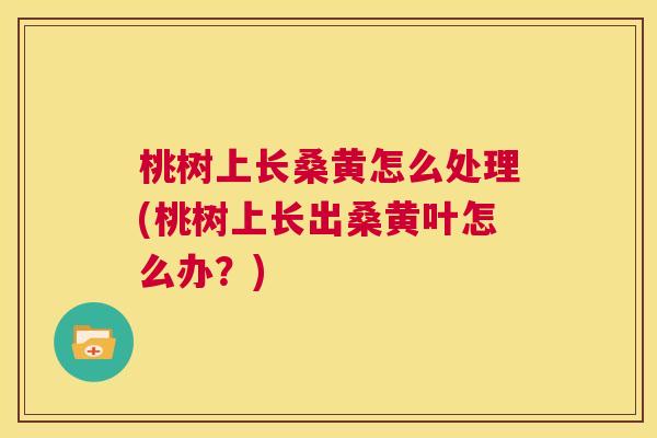 桃树上长桑黄怎么处理(桃树上长出桑黄叶怎么办?) 桃树上长桑黄怎么处理(桃树上长出桑黄叶怎么办?)