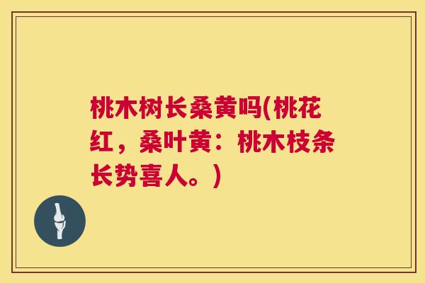 桃木树长桑黄吗(桃花红,桑叶黄:桃木枝条长势喜人。) 桃木树长桑黄吗(桃花红,桑叶黄:桃木枝条长势喜人。)