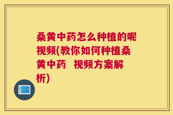 桑黄怎么种植的呢视频(教你如何种植桑黄 视频方案解析) 桑黄怎么种植的呢视频(教你如何种植桑黄 视频方案解析)