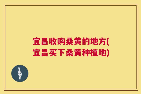 宜昌收购桑黄的地方(宜昌买下桑黄种植地) 宜昌收购桑黄的地方(宜昌买下桑黄种植地)