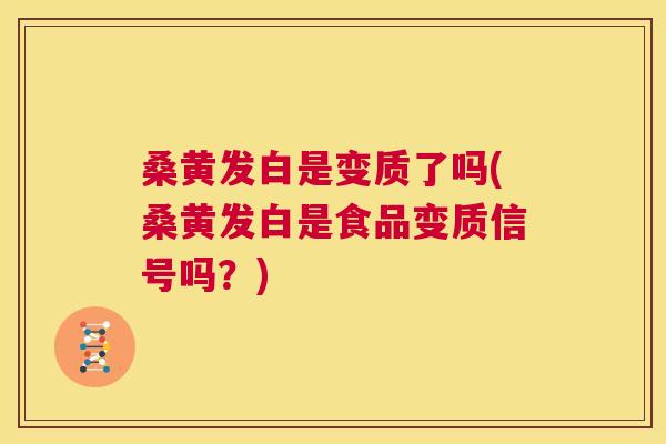 桑黄发白是变质了吗(桑黄发白是食品变质信号吗？)