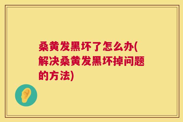 桑黄发黑坏了怎么办(解决桑黄发黑坏掉问题的方法) 桑黄发黑坏了怎么办(解决桑黄发黑坏掉问题的方法)