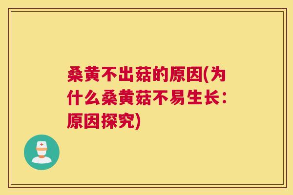 桑黄不出菇的原因(为什么桑黄菇不易生长:原因探究) 桑黄不出菇的原因(为什么桑黄菇不易生长:原因探究)
