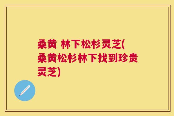 桑黄 林下松杉灵芝(桑黄松杉林下找到珍贵灵芝) 桑黄 林下松杉灵芝(桑黄松杉林下找到珍贵灵芝)