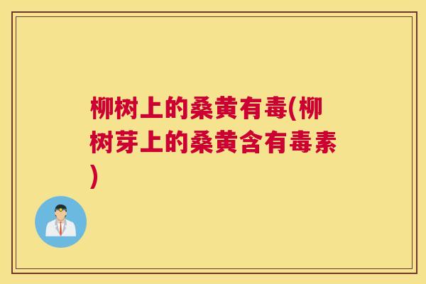 柳树上的桑黄有毒(柳树芽上的桑黄含有毒素) 柳树上的桑黄有毒(柳树芽上的桑黄含有毒素)