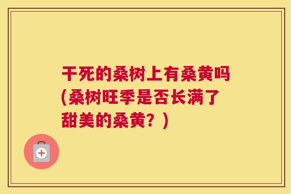干死的桑树上有桑黄吗(桑树旺季是否长满了甜美的桑黄?) 干死的桑树上有桑黄吗(桑树旺季是否长满了甜美的桑黄?)