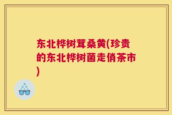 东北桦树茸桑黄(珍贵的东北桦树菌走俏茶市) 东北桦树茸桑黄(珍贵的东北桦树菌走俏茶市)