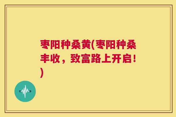 枣阳种桑黄(枣阳种桑丰收,致富路上开启!) 枣阳种桑黄(枣阳种桑丰收,致富路上开启!)