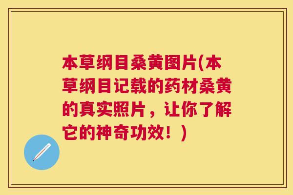本草纲目桑黄图片(本草纲目记载的药材桑黄的真实照片,让你了解它的神奇功效!) 本草纲目桑黄图片(本草纲目记载的药材桑黄的真实照片,让你了解它的神奇功效!)