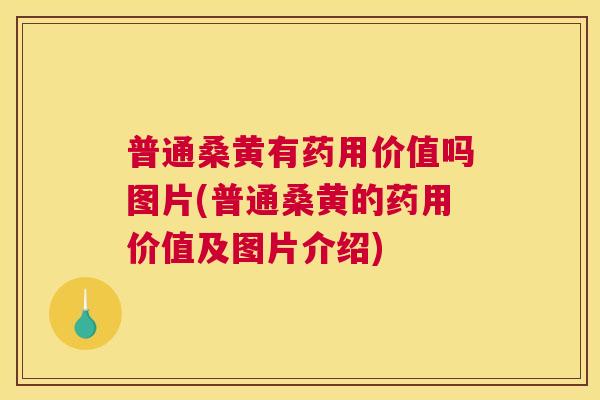 普通桑黄有药用价值吗图片(普通桑黄的药用价值及图片介绍) 普通桑黄有药用价值吗图片(普通桑黄的药用价值及图片介绍)