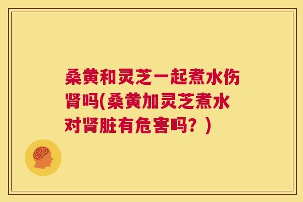 桑黄和灵芝一起煮水伤吗(桑黄加灵芝煮水对脏有危害吗?) 桑黄和灵芝一起煮水伤吗(桑黄加灵芝煮水对脏有危害吗?)