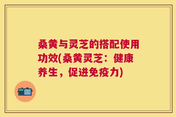 桑黄与灵芝的搭配使用功效(桑黄灵芝:健康养生,促进力) 桑黄与灵芝的搭配使用功效(桑黄灵芝:健康养生,促进力)