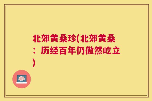 北郊黄桑珍(北郊黄桑:历经百年仍傲然屹立) 北郊黄桑珍(北郊黄桑:历经百年仍傲然屹立)