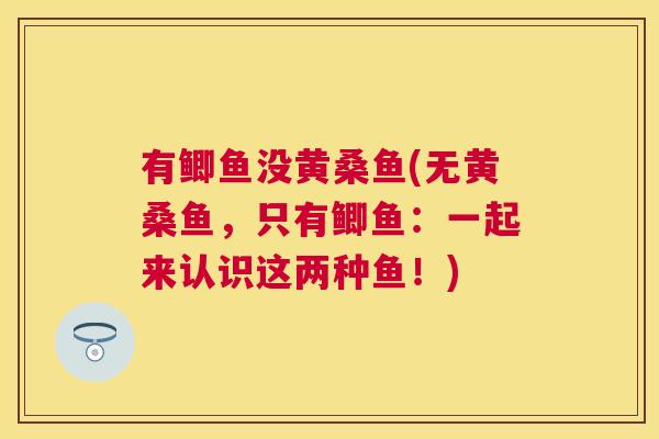 有鲫鱼没黄桑鱼(无黄桑鱼，只有鲫鱼：一起来认识这两种鱼！)