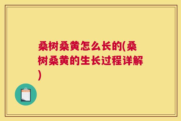 桑树桑黄怎么长的(桑树桑黄的生长过程详解) 桑树桑黄怎么长的(桑树桑黄的生长过程详解)