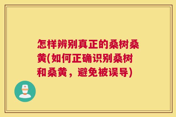 怎样辨别真正的桑树桑黄(如何正确识别桑树和桑黄,避免被误导) 怎样辨别真正的桑树桑黄(如何正确识别桑树和桑黄,避免被误导)