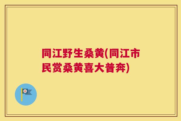 同江野生桑黄(同江市民赏桑黄喜大普奔) 同江野生桑黄(同江市民赏桑黄喜大普奔)