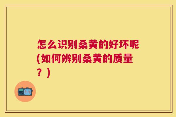 怎么识别桑黄的好坏呢(如何辨别桑黄的质量?) 怎么识别桑黄的好坏呢(如何辨别桑黄的质量?)