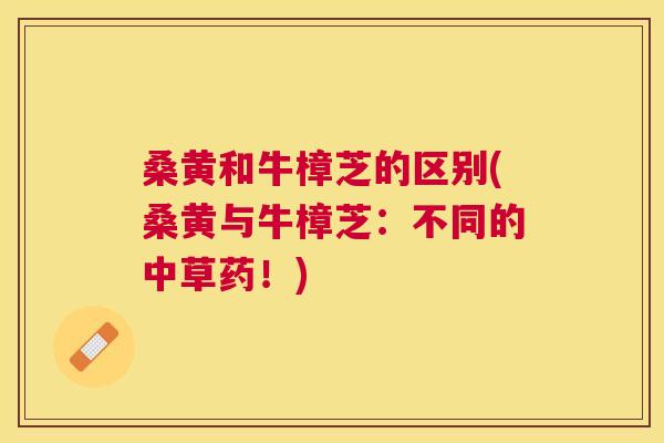 桑黄和牛樟芝的区别(桑黄与牛樟芝:不同的中草药!) 桑黄和牛樟芝的区别(桑黄与牛樟芝:不同的中草药!)