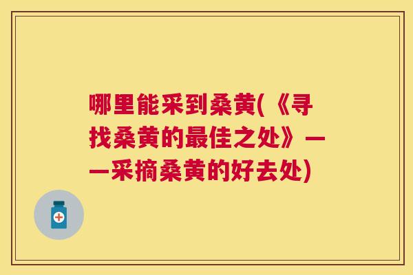 哪里能采到桑黄(《寻找桑黄的佳之处》——采摘桑黄的好去处) 哪里能采到桑黄(《寻找桑黄的佳之处》——采摘桑黄的好去处)