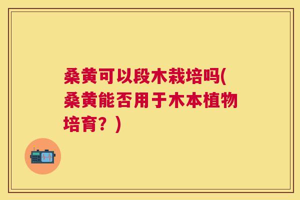 桑黄可以段木栽培吗(桑黄能否用于木本植物培育?) 桑黄可以段木栽培吗(桑黄能否用于木本植物培育?)