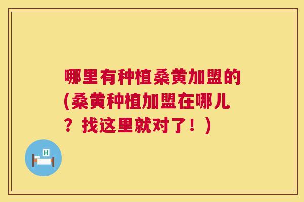 哪里有种植桑黄加盟的(桑黄种植加盟在哪儿?找这里就对了!) 哪里有种植桑黄加盟的(桑黄种植加盟在哪儿?找这里就对了!)