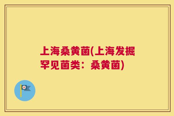 上海桑黄菌(上海发掘罕见菌类:桑黄菌) 上海桑黄菌(上海发掘罕见菌类:桑黄菌)