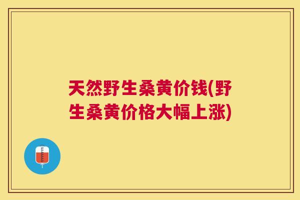 天然野生桑黄价钱(野生桑黄价格大幅上涨) 天然野生桑黄价钱(野生桑黄价格大幅上涨)