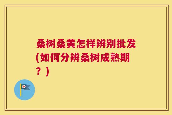 桑树桑黄怎样辨别批发(如何分辨桑树成熟期?) 桑树桑黄怎样辨别批发(如何分辨桑树成熟期?)