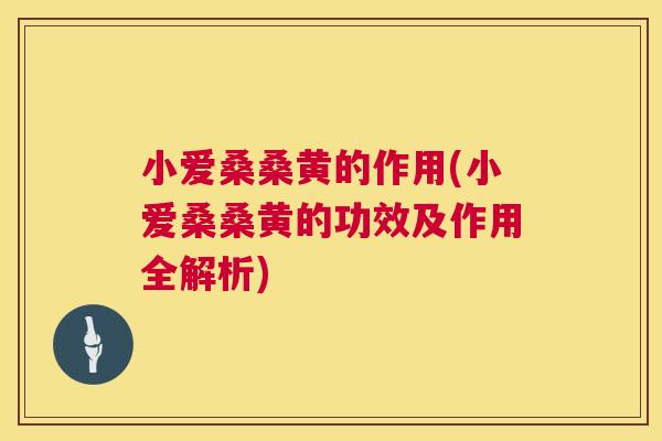 小爱桑桑黄的作用(小爱桑桑黄的功效及作用全解析) 小爱桑桑黄的作用(小爱桑桑黄的功效及作用全解析)