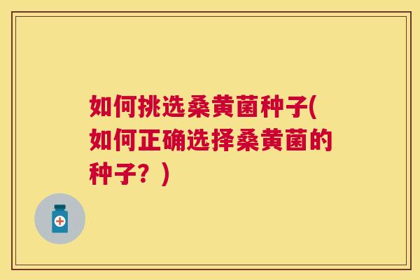 如何挑选桑黄菌种子(如何正确选择桑黄菌的种子?) 如何挑选桑黄菌种子(如何正确选择桑黄菌的种子?)