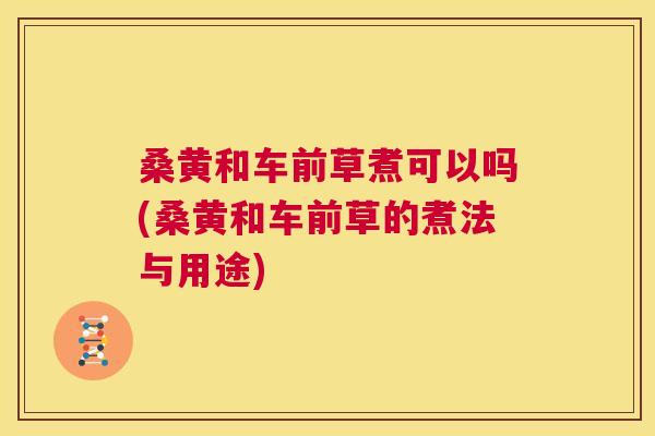 桑黄和车前草煮可以吗(桑黄和车前草的煮法与用途) 桑黄和车前草煮可以吗(桑黄和车前草的煮法与用途)