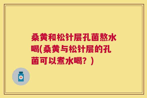 桑黄和松针层孔菌熬水喝(桑黄与松针层的孔菌可以煮水喝?) 桑黄和松针层孔菌熬水喝(桑黄与松针层的孔菌可以煮水喝?)