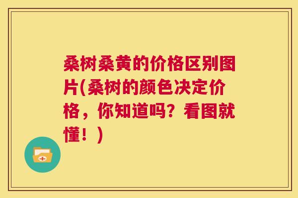 桑树桑黄的价格区别图片(桑树的颜色决定价格,你知道吗?看图就懂!) 桑树桑黄的价格区别图片(桑树的颜色决定价格,你知道吗?看图就懂!)