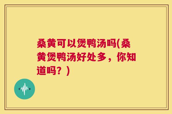 桑黄可以煲鸭汤吗(桑黄煲鸭汤好处多,你知道吗?) 桑黄可以煲鸭汤吗(桑黄煲鸭汤好处多,你知道吗?)